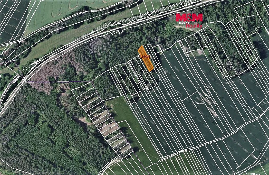Prodej lesa 1133 m²